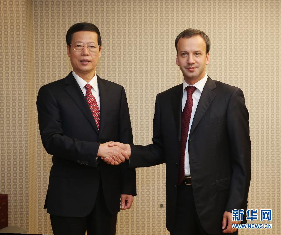 6月20日，中国国务院副总理张高丽在圣彼得堡会见俄政府副总理兼中俄能源合作委员会俄方主席德沃尔科维奇。 新华社记者 刘卫兵 摄