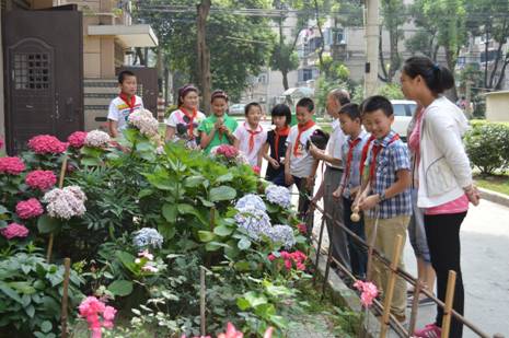江苏无锡滨湖区河埒街道：水秀“金邻居”社工之家【8】
