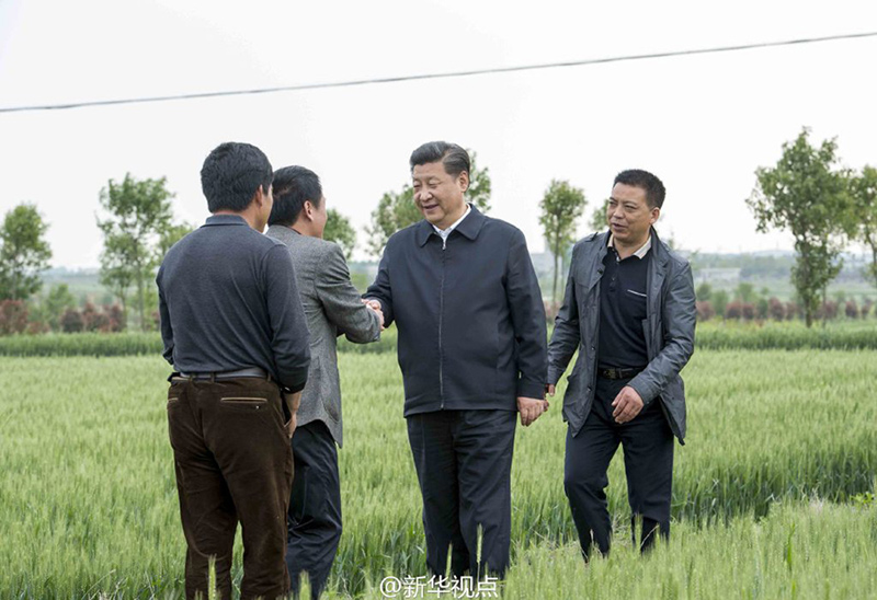 25日下午，习近平来到小岗村4300亩高标准农田示范点，沿着田埂走进麦田，察看小麦长势，向村干部、种粮大户和农技人员了解土地流转、农田整理、种植品种、亩产量、病虫害防治、粮食收购等情况。