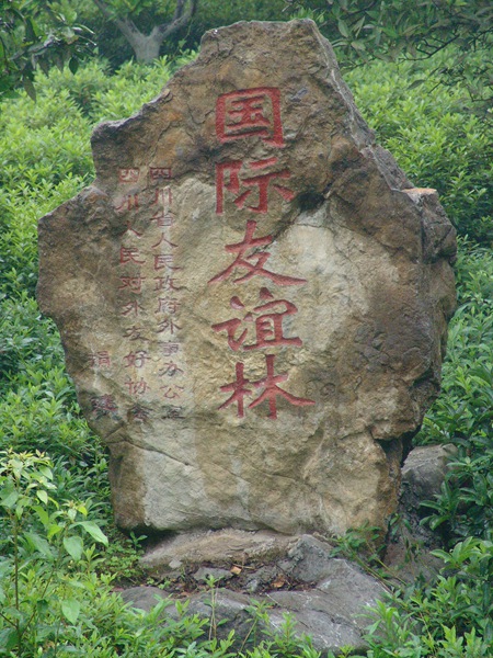 国际友谊林