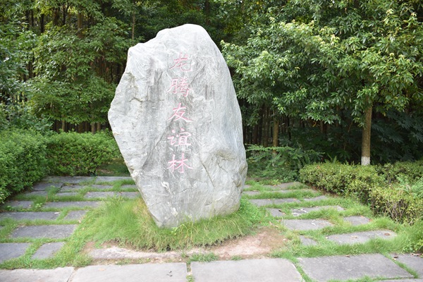 龙腾友谊林
