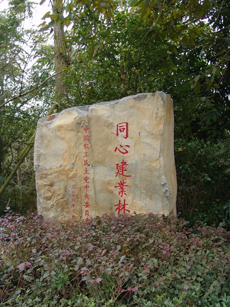 同心建业林