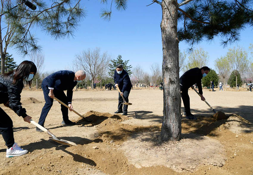 4月3日，黨和國家領導人習近平、李克強、栗戰書、汪洋、王滬寧、趙樂際、韓正、王岐山等來到北京市大興區舊宮鎮參加首都義務植樹活動。這是習近平同大家一起植樹。 新華社記者 李學仁 攝