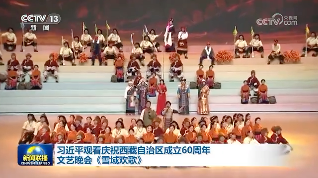 习近平观看庆祝西藏自治区成立60周年文艺晚会《雪域欢歌》